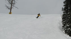 sunshine village ski resort