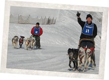 sled dog team sled dog team